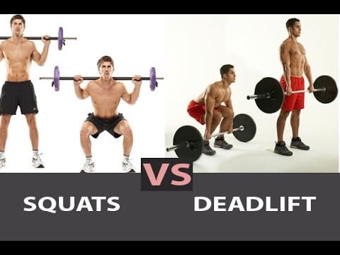 Deadlift vs. Squat Muscle