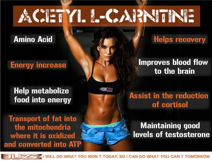 Health Benefits of L-Carnitine