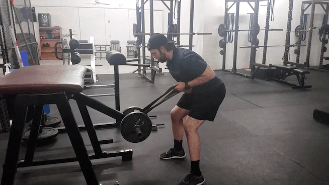 5 Awesome Exercises You Can Perform With a Reverse Hyper Machine