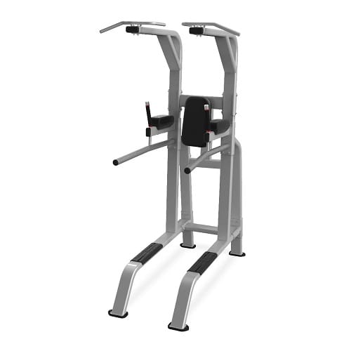 PULL-UP/DIP/LEG RAISE