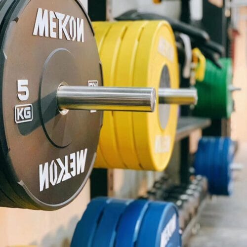 METCON Colored Training Plates (Sold in pair)