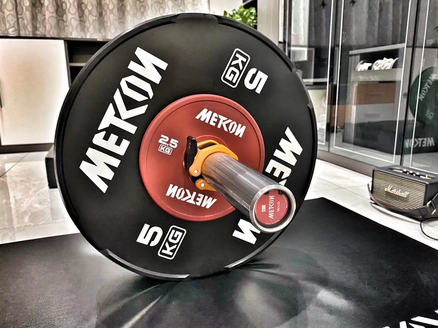 METCON Colored Training Plate - Image 4
