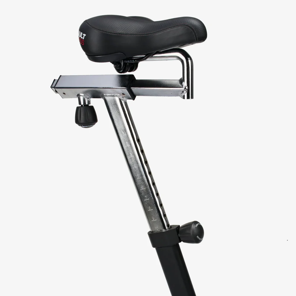 Assault Bike Classic - Image 3