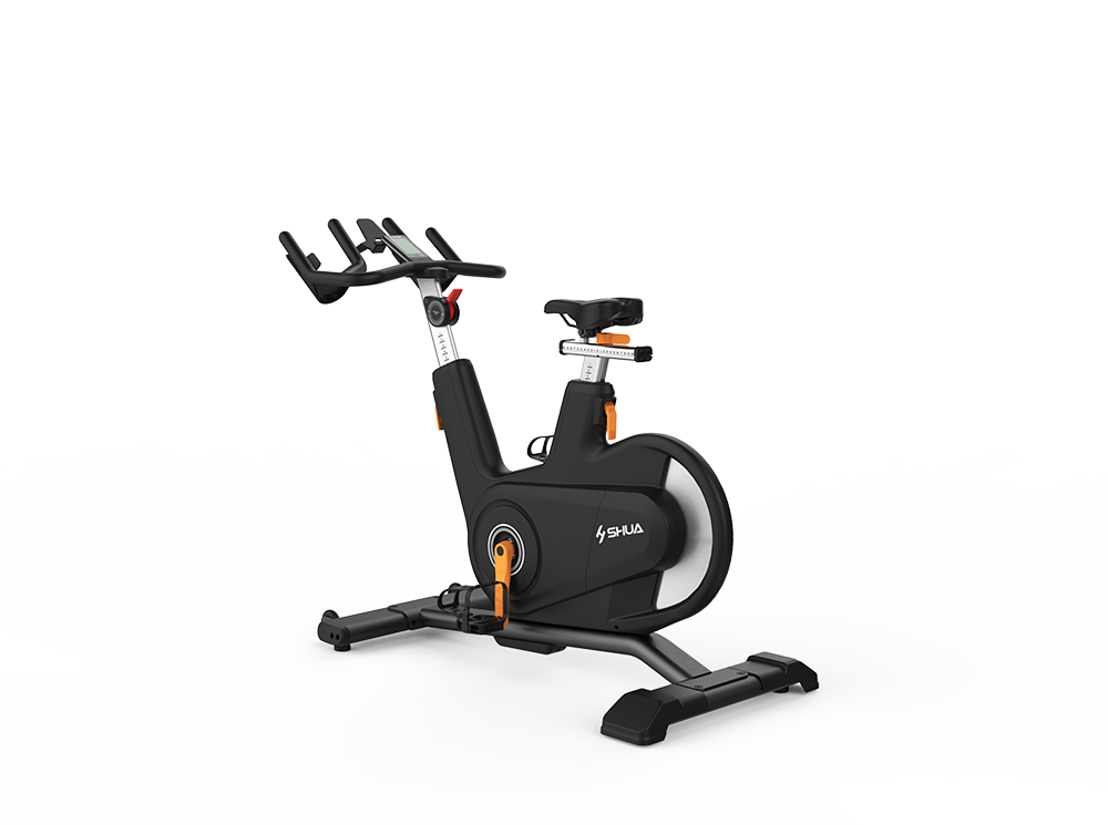 SHUA V9 Indoor Cycle