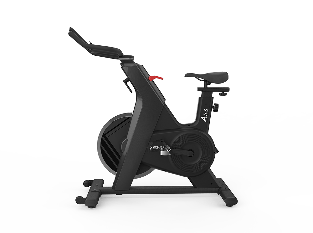 Shua A5-S Indoor Cycle SH-B599