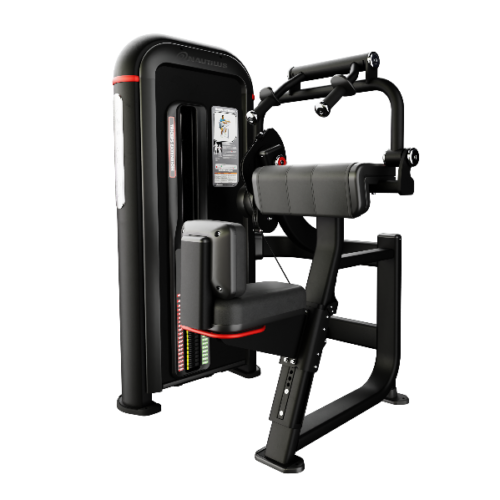 Inspiration® Triceps Extension