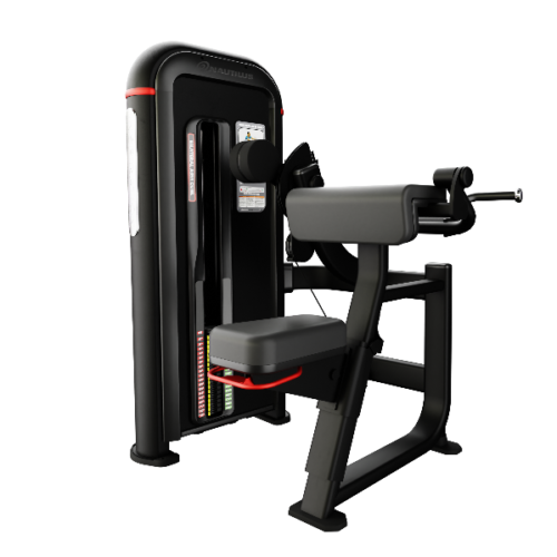 Inspiration® Bilateral Arm Curl