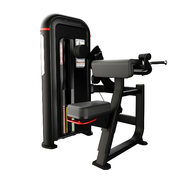 Inspiration® Bilateral Arm Curl