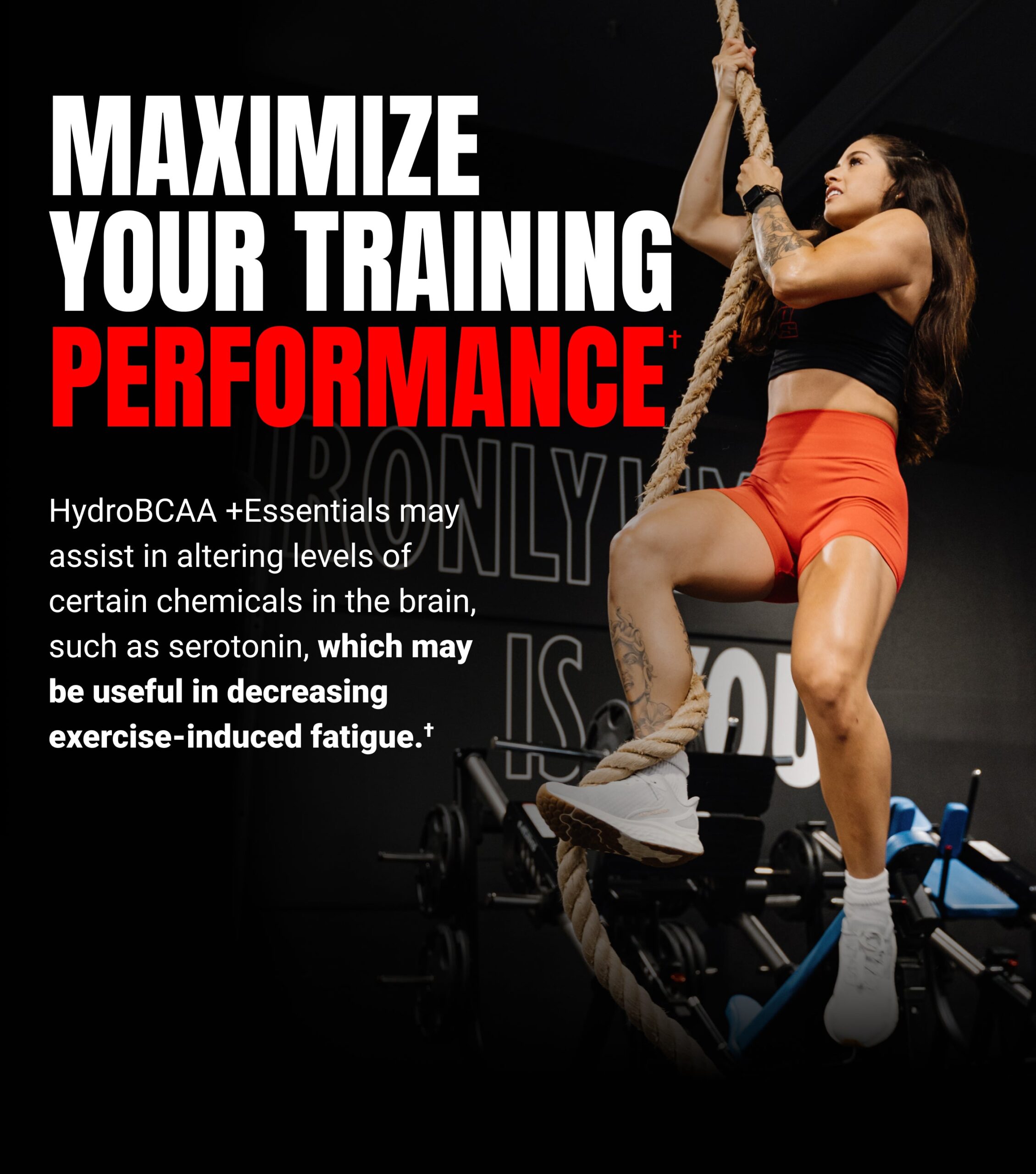 Prosupps HydroBCAA +EAA - Image 7