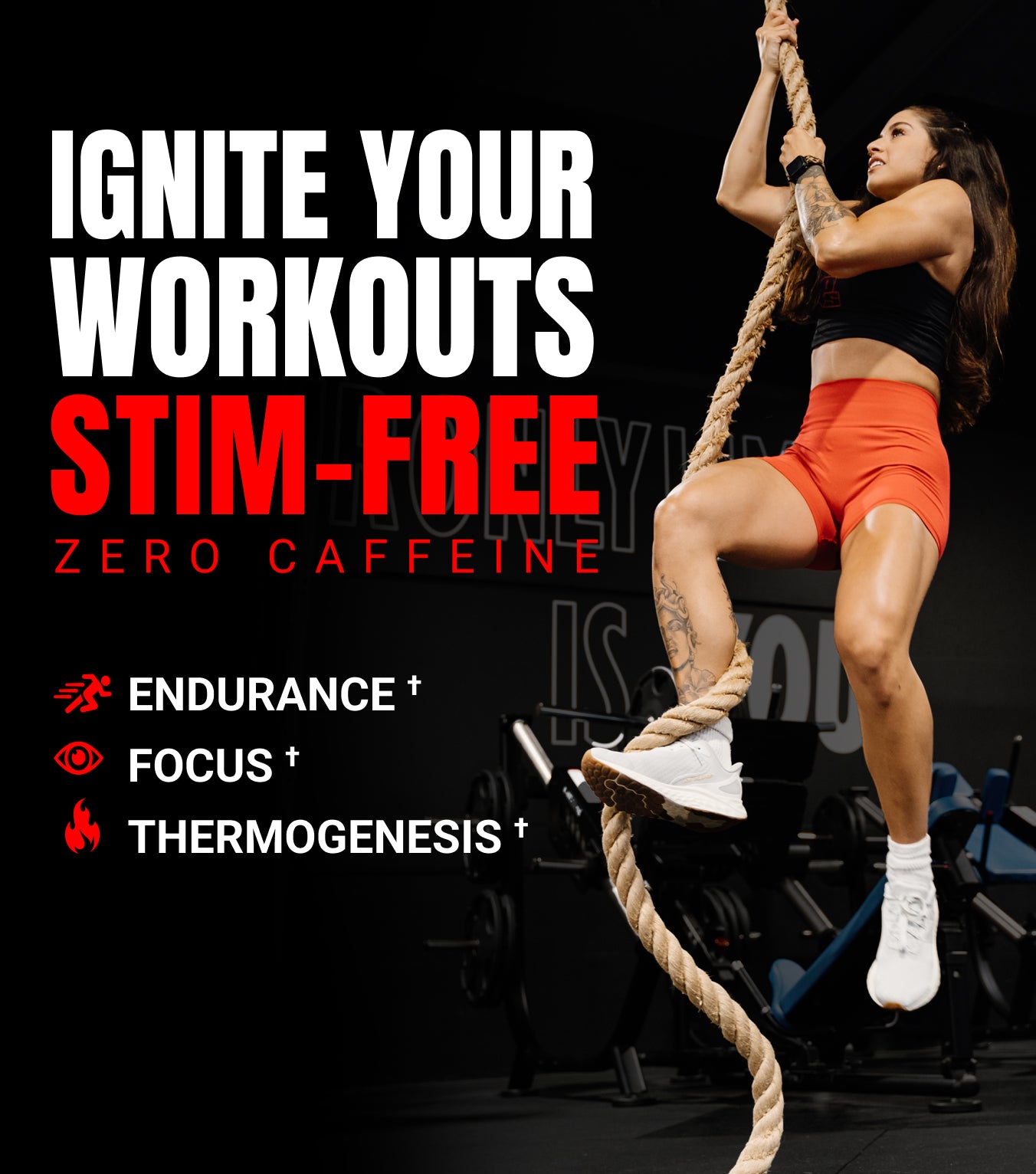 Prosupps Jekyll Signature V2 - Image 2