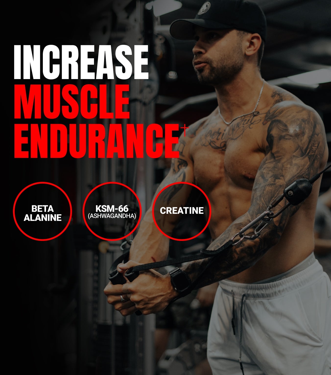 Prosupps Jekyll Signature V2 - Image 3